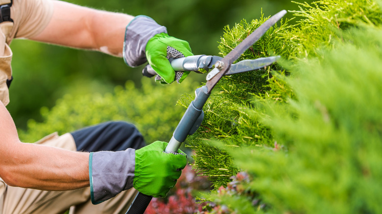 Votre jardin entre de bonnes mains